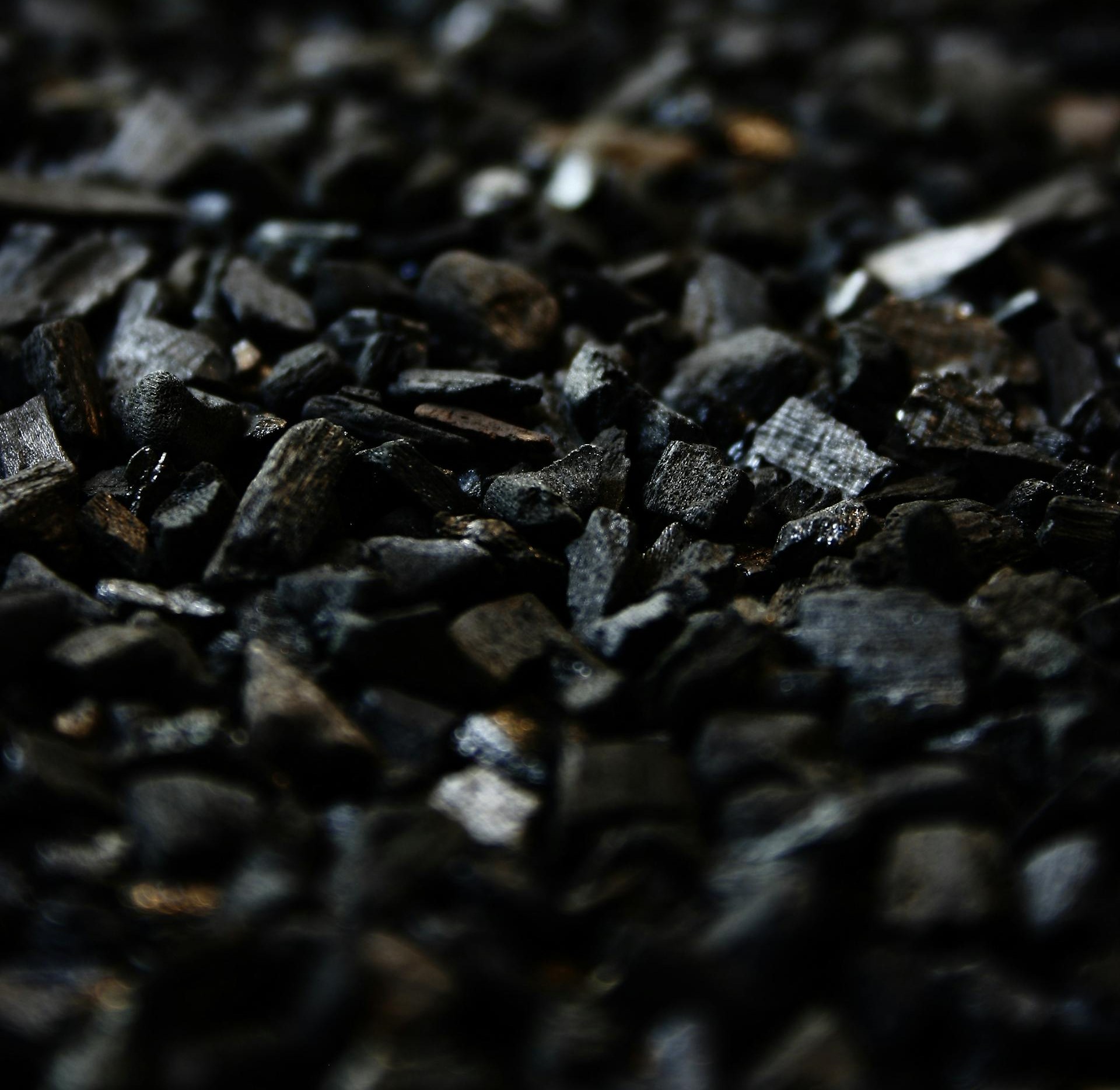 Activated Carbon Biochar